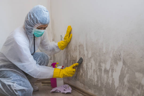 Best Airborne Mold Testing  in Aberdeen, OH