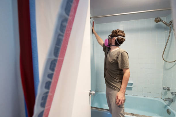 Best Mold Damage Restoration  in Aberdeen, OH