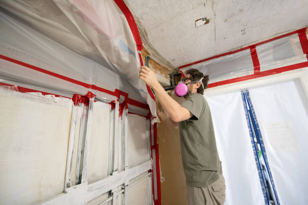 Best Attic Mold Removal  in Aberdeen, OH