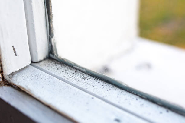 Best Forensic Mold Investigation  in Aberdeen, OH