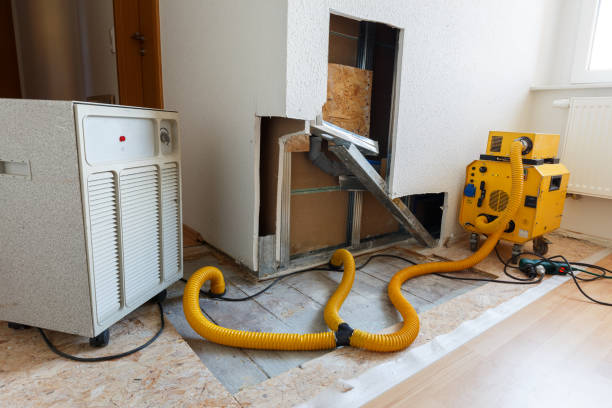 Best Post-Remediation Verification Testing  in Aberdeen, OH