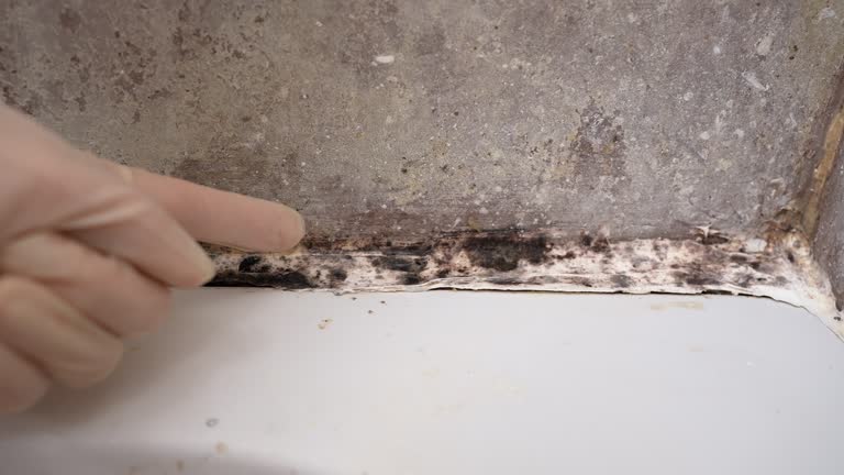 Best Real Estate Mold Inspection  in Aberdeen, OH