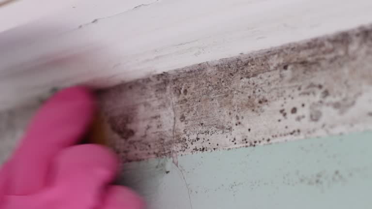 Best Industrial Mold Remediation  in Aberdeen, OH
